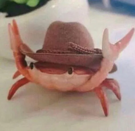 a happy crab is wearing a cowboy hat and holding a lasso. 200 success.